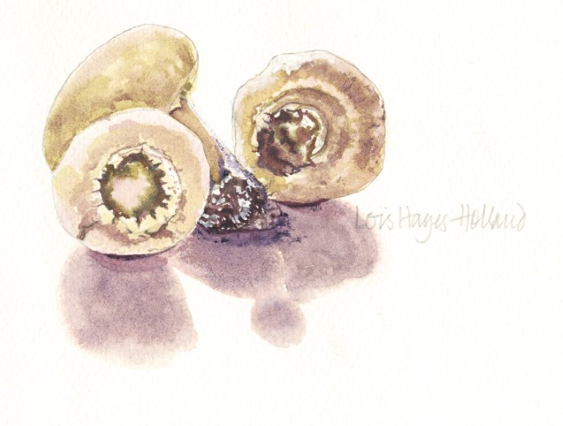 Still Life Painting 5